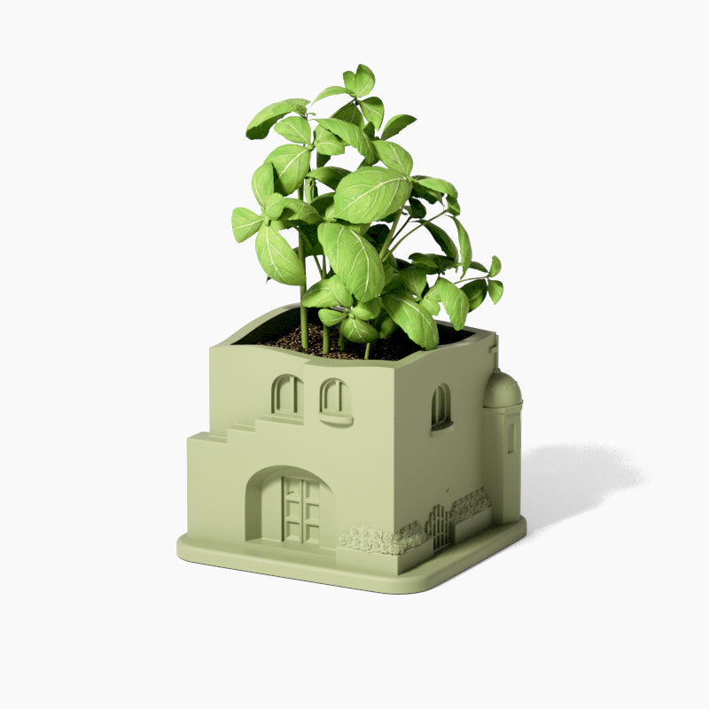 Aegean Santorini House Plant Pot planted with green leafy plants -Boowan Nicole