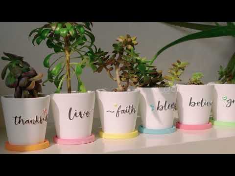 Загрузить видео: