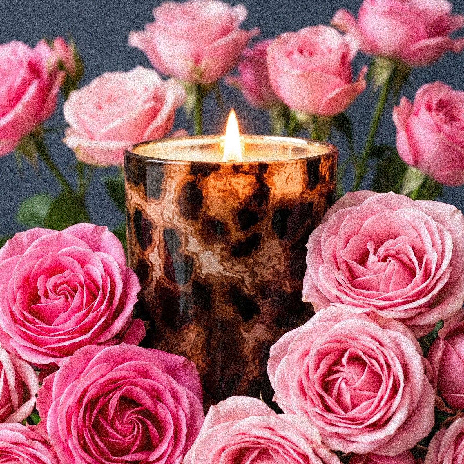 Lit Retro Tortoise Pattern Glass Candle Jar Surrounded by Fresh Dusty Pink Garden Roses - Boowan Nicole