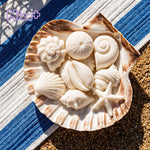 Azulmostaza × BN｜Форма из силикона для восковых мелтов La Isla Bonita Ibiza Place