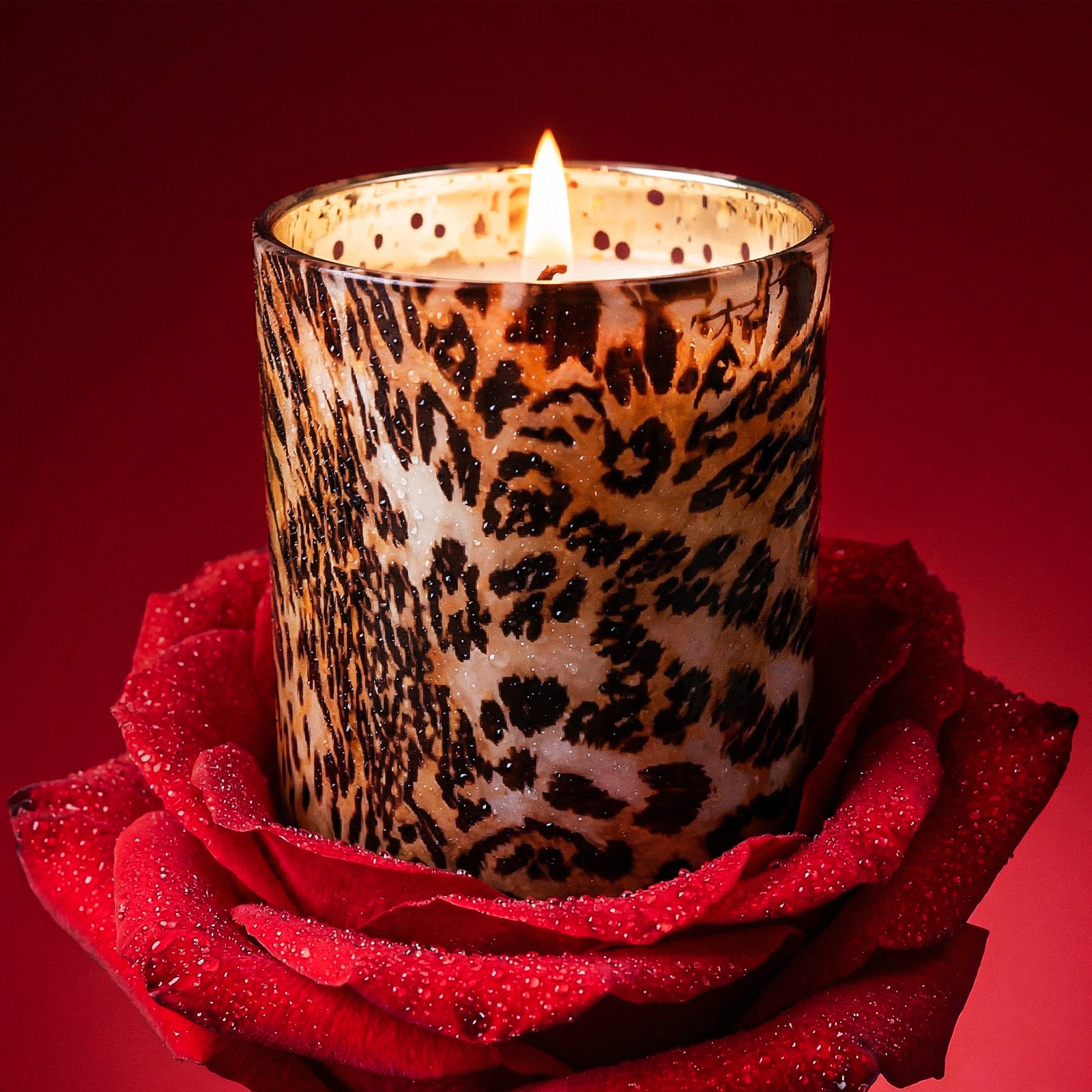 Lit Wild Animal Print Glass Candle Jar Nestled in Fresh Red Rose Blooms - Boowan Nicole