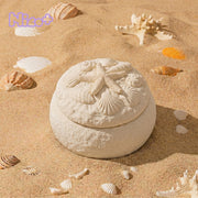 Azulmostaza x BN｜La Isla Bonita Shell Secret Box Silicone Mold Set
