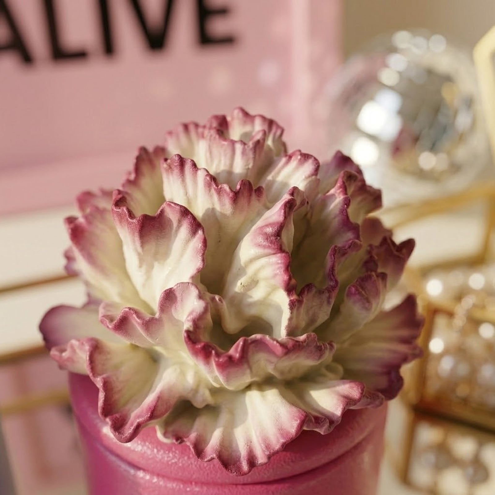 Close-up of Magenta Ombre Carnation Scented Candle Jar - Exquisite Home Fragrance Decor - Boowan Nicole