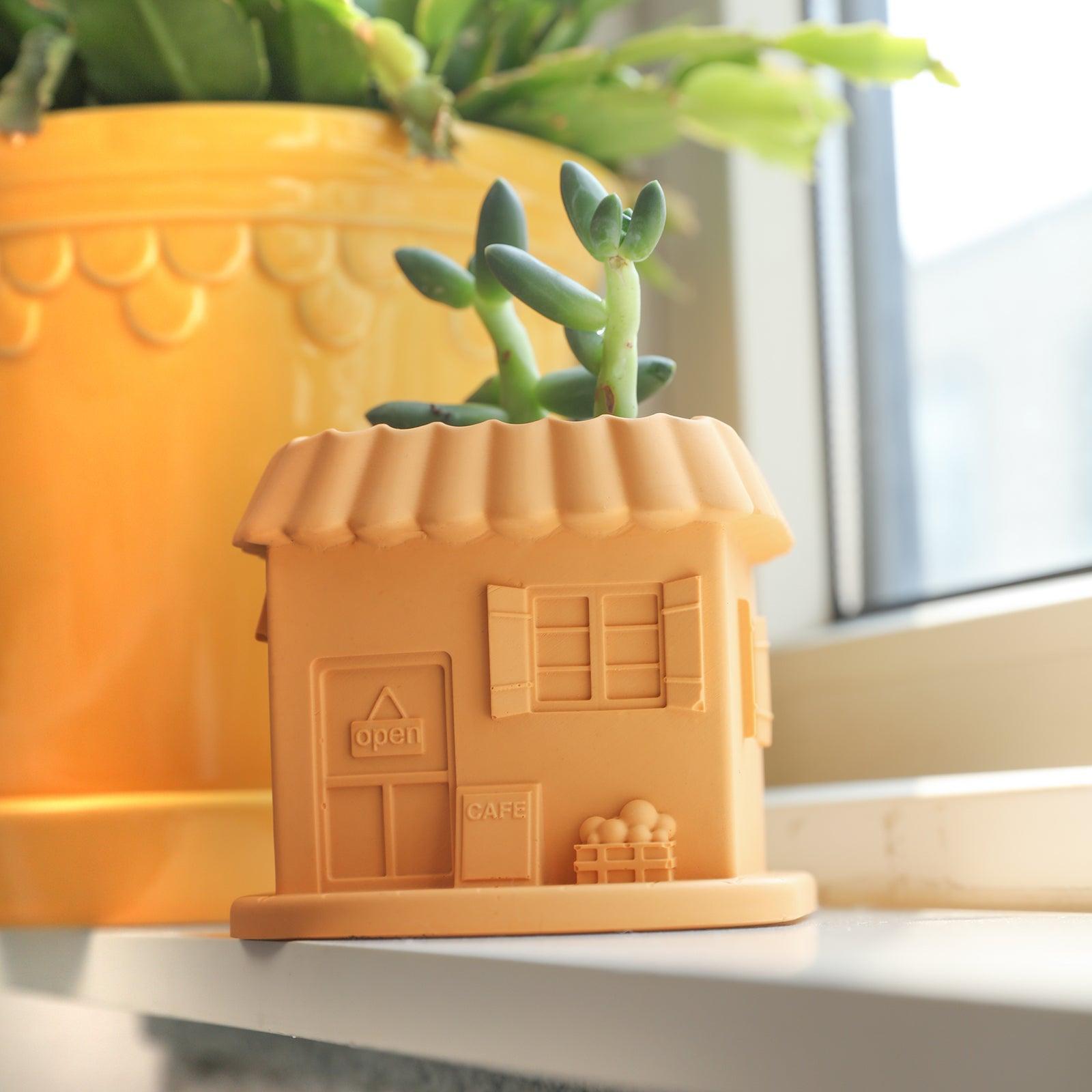 The Mini-House Plant Pot planted with succulents is placed next to the windowsill-Boowan Nicole