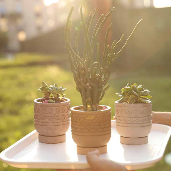 nicole-handmade-concrete-pattern-plant-pot-and-tray-silicone-molds-cement-succulent-mould-jesmonite-indoor-garden-decoration-tool-diy-planter-silicone-mold