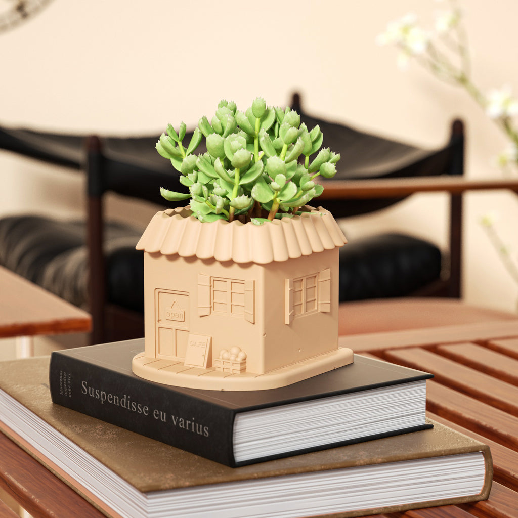 Mini-House Plant Pot planted with succulents placed on a book on the table-Boowan Nicole