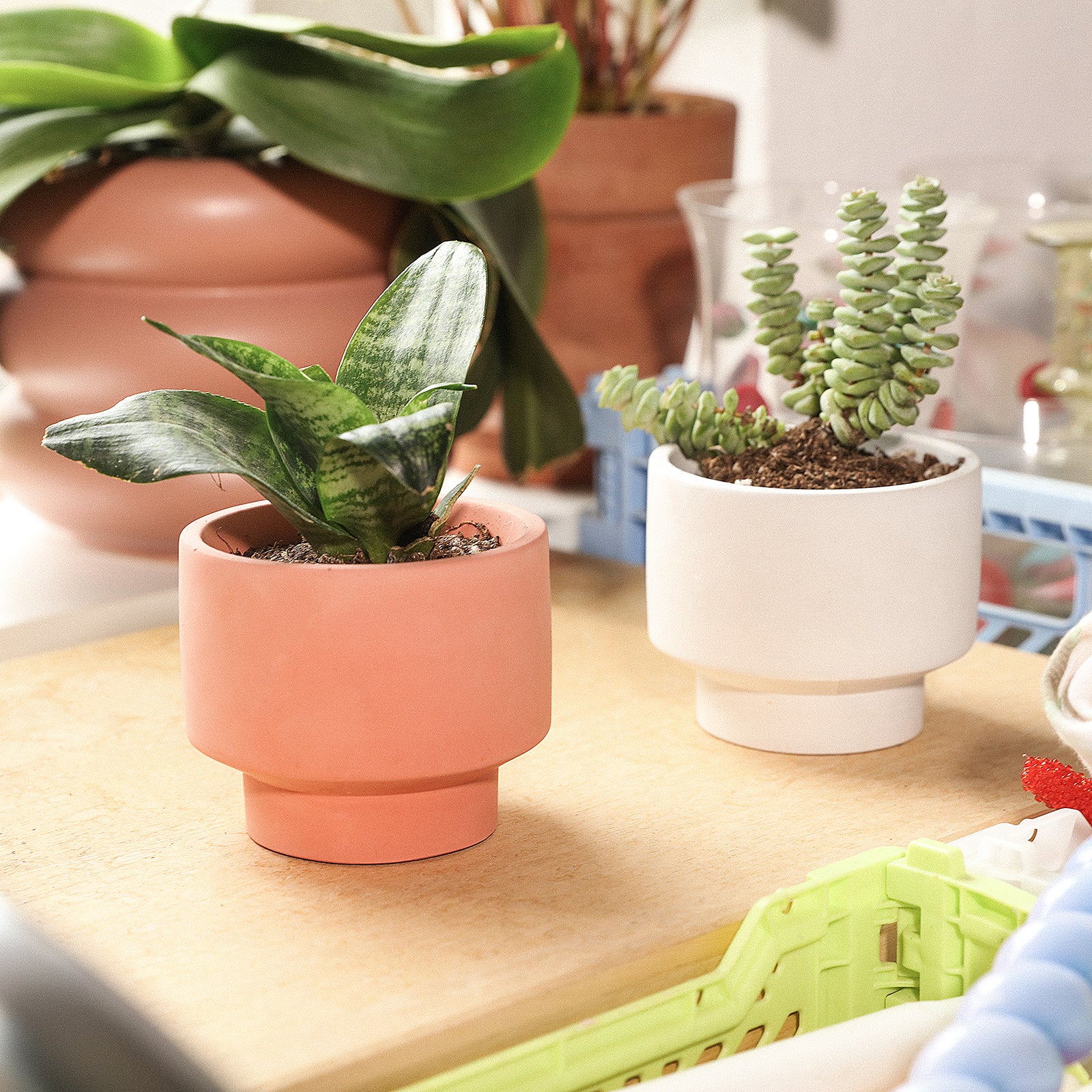 A Concrete Plant Pot planted with different plants is placed on the balcony platform -Boowan Nicole