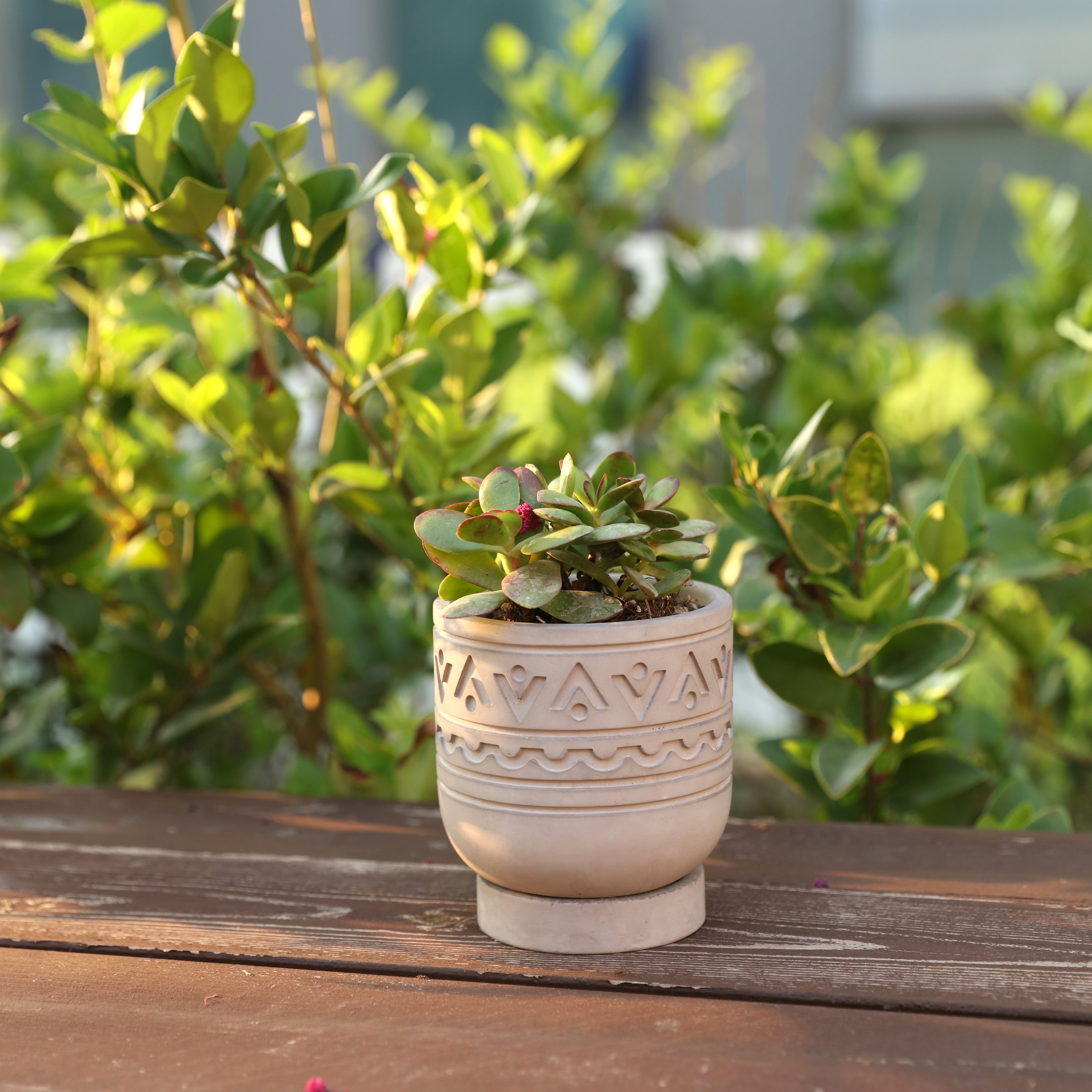 nicole-handmade-concrete-pattern-plant-pot-and-tray-silicone-molds-cement-succulent-mould-jesmonite-indoor-garden-decoration-tool-diy-planter-silicone-mold