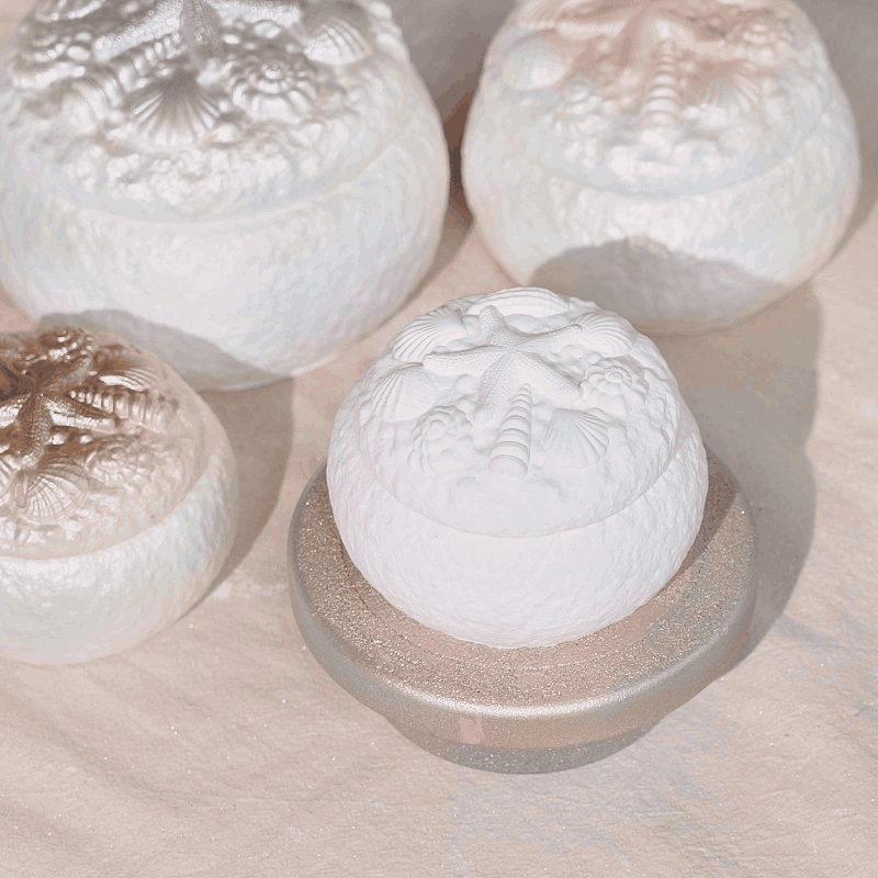 Azulmostaza x BN｜La Isla Bonita Shell Secret Box Silicone Mold Set
