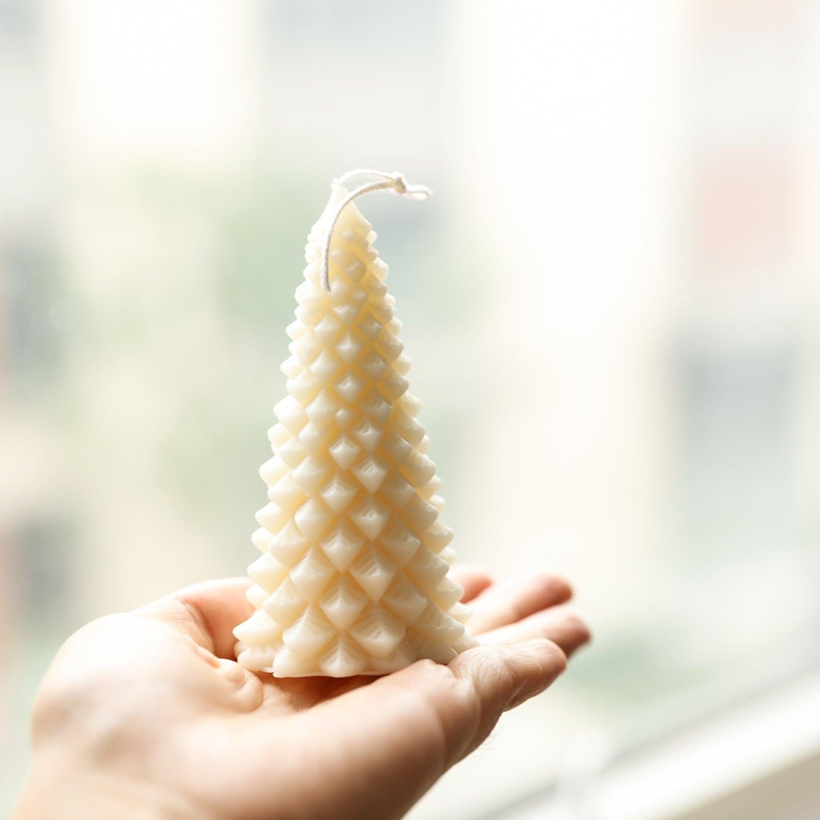 White Christmas pine candle placed in palm - Boowan Nicole