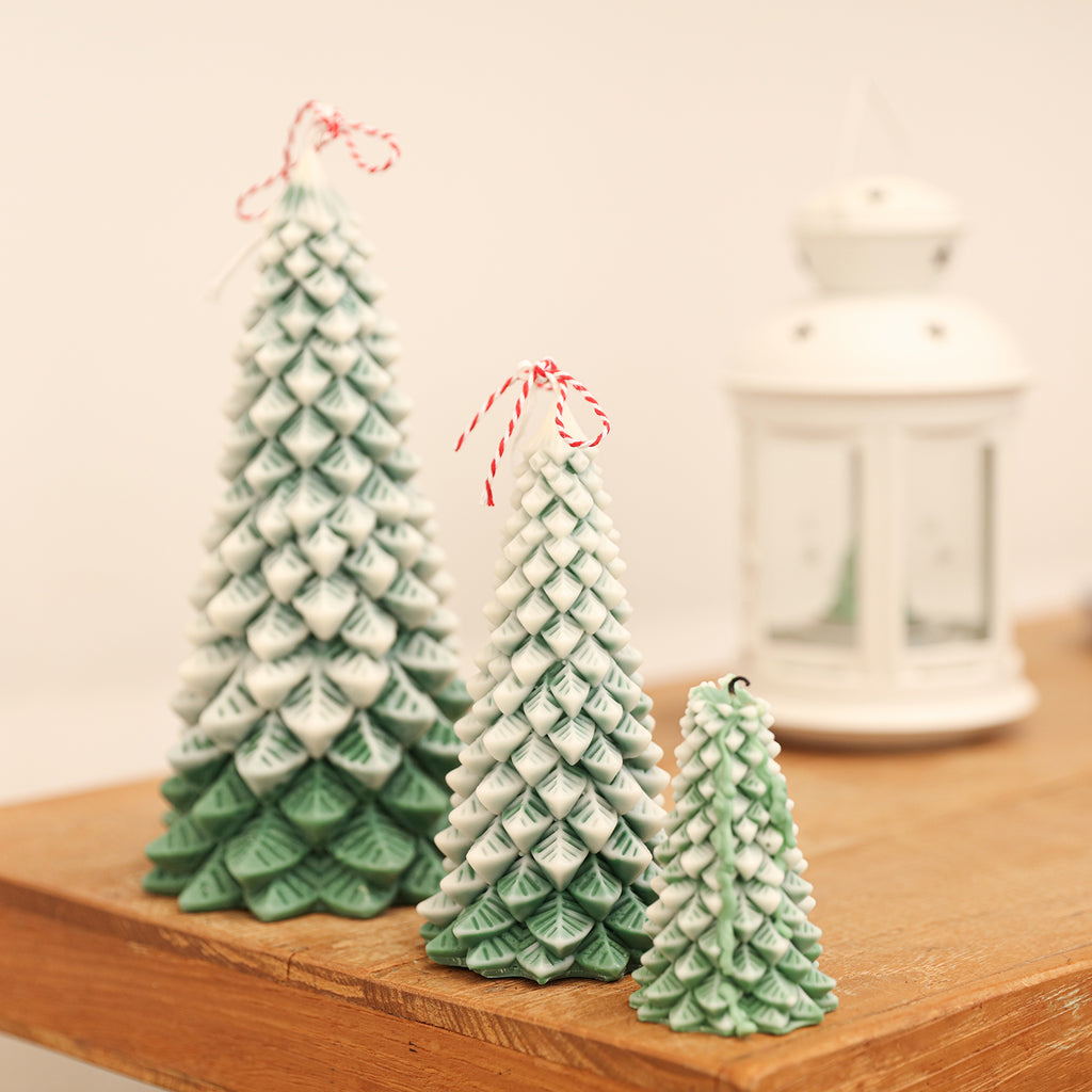 Three Christmas pine trees of different sizes are placed on the table according to their height - Boowan Nicole