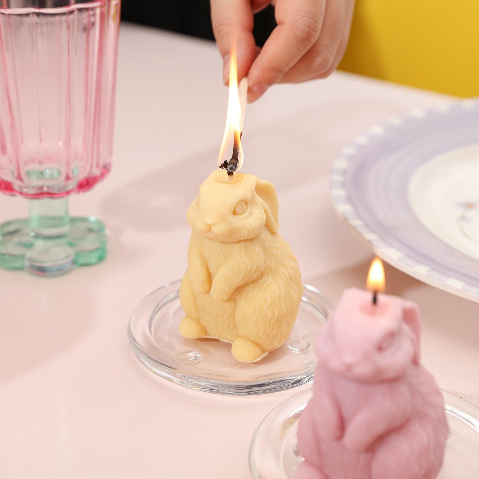 Molde de Silicone para Vela Coelhinho Feliz de Páscoa