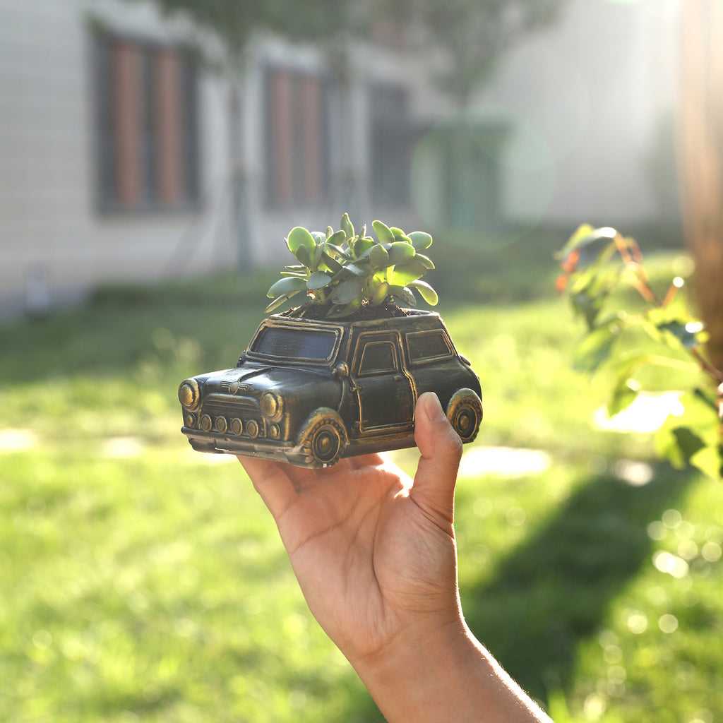 Holding a retro car-shaped plant pot displaying plants - Boowan Nicole