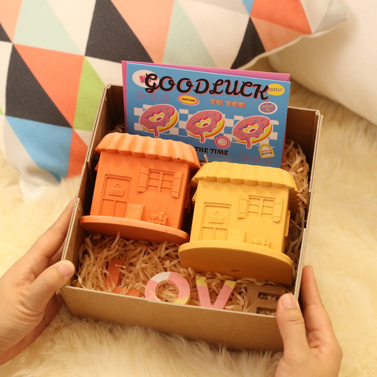 Two Mini-House Plant Pots in a gift box - Boowan Nicole