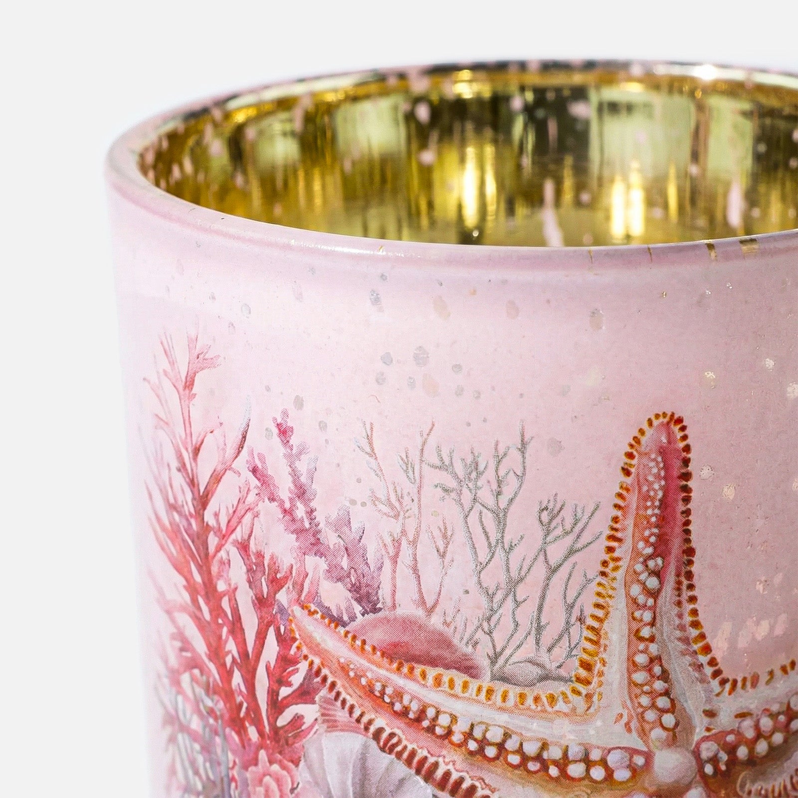Macro Shot of Vivid Starfish & Red Coral Pattern on Pink Gold Electroplated Candle Vessel - Boowan Nicole