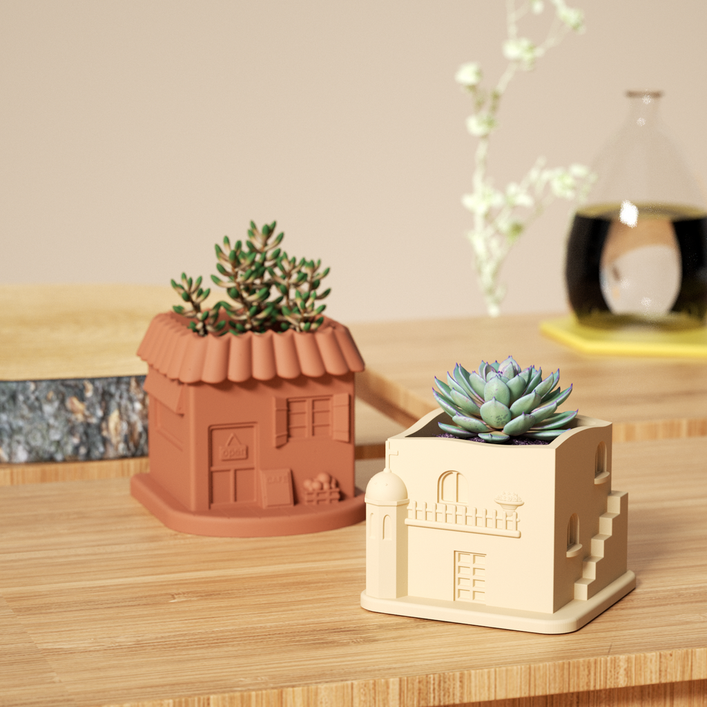 Mini-House Plant Pot planted with different plants is placed on the table-Boowan Nicole