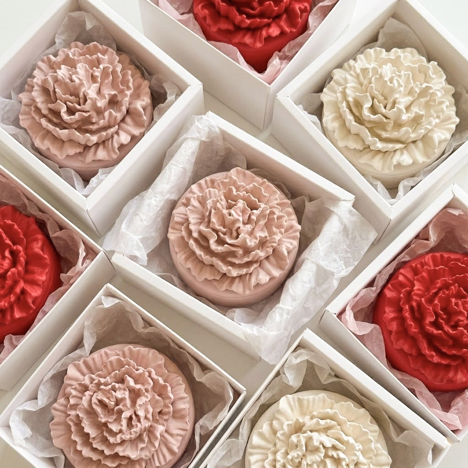 Assorted red, pink, and cream carnation candle jars in white gift boxes -Boowan Nicole