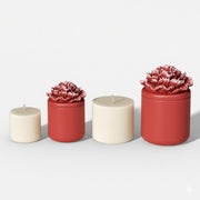 Red and cream A Little Love Carnation Candle Jar & Refill set in small and large sizes -Boowan Nicole