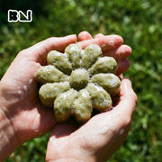 Hands holding a lathering green flower-shaped soap against a lush grassy background - Boowan Nicole