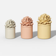 Carnation Blossom Candle Jar Silicone Mold Collection