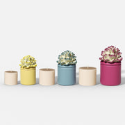 Carnation Blossom Candle Jar Silicone Mold Collection