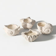 Colección de moldes de silicona para tarros de vela Tesoros de conchas costeras