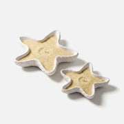Two Sizes Starfish Silicone Mold Finished Sand Wax Candle Jars on Plain White Background - Boowan Nicole