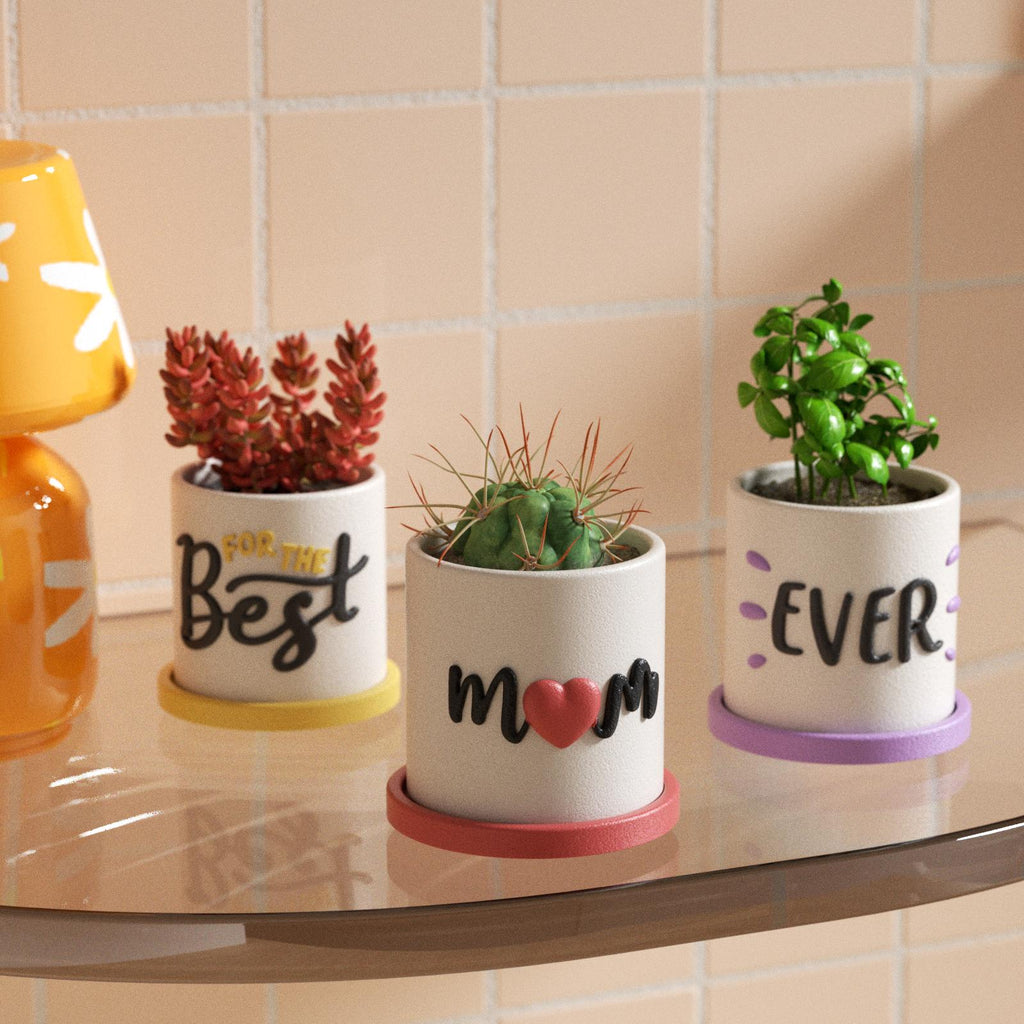 Color-gradient MoM flowerpot series is the perfect choice to enhance your garden or home decor-Boowan Nicole