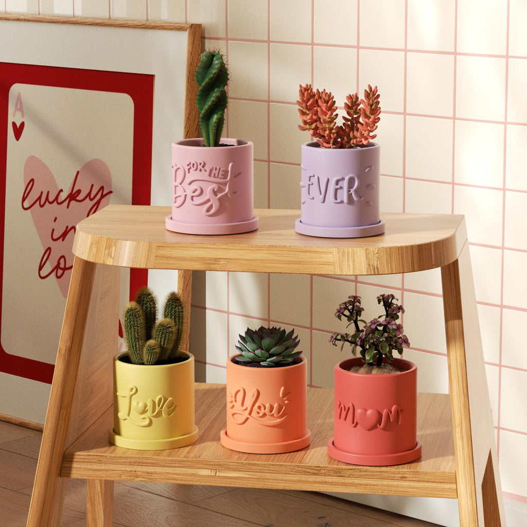 Flower pots embossed with 'mom best ever love you' for modern gardens and home decor, adding a warm and romantic ambiance-Boowan Nicole