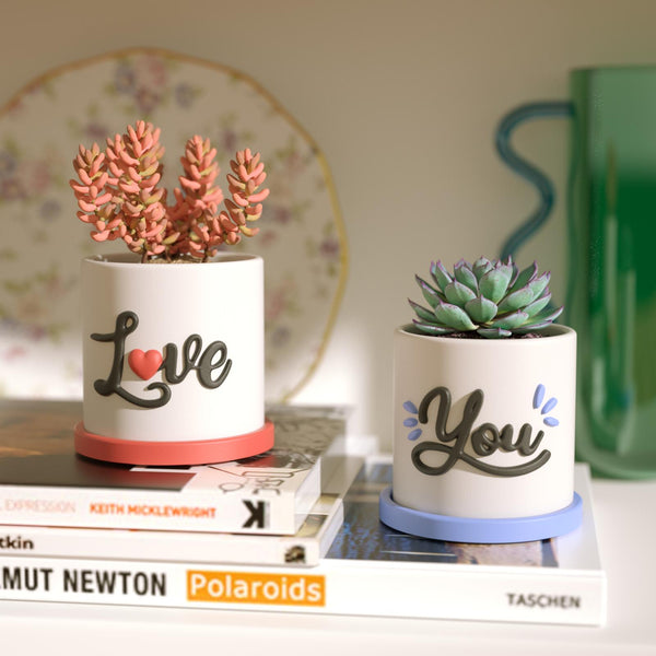Personalized 'Love' and 'You' Planters with Colorful Saucer, Perfect for Home Decor and Gift Giving-Boowan Nicole