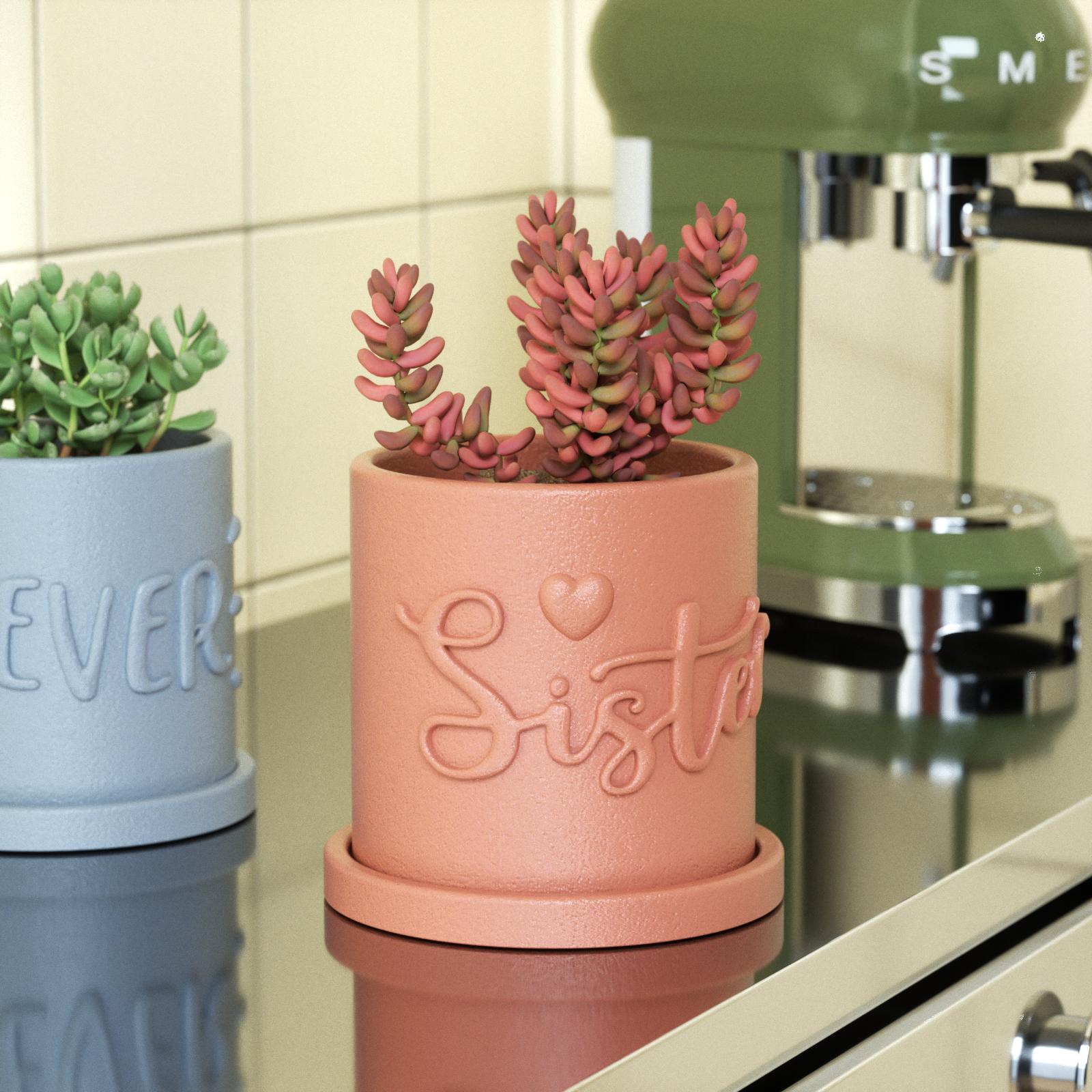 Embossed 'Sister' Letter Design Flower Pot, Adding Color and Fun to Home Decor-Boowan Nicole