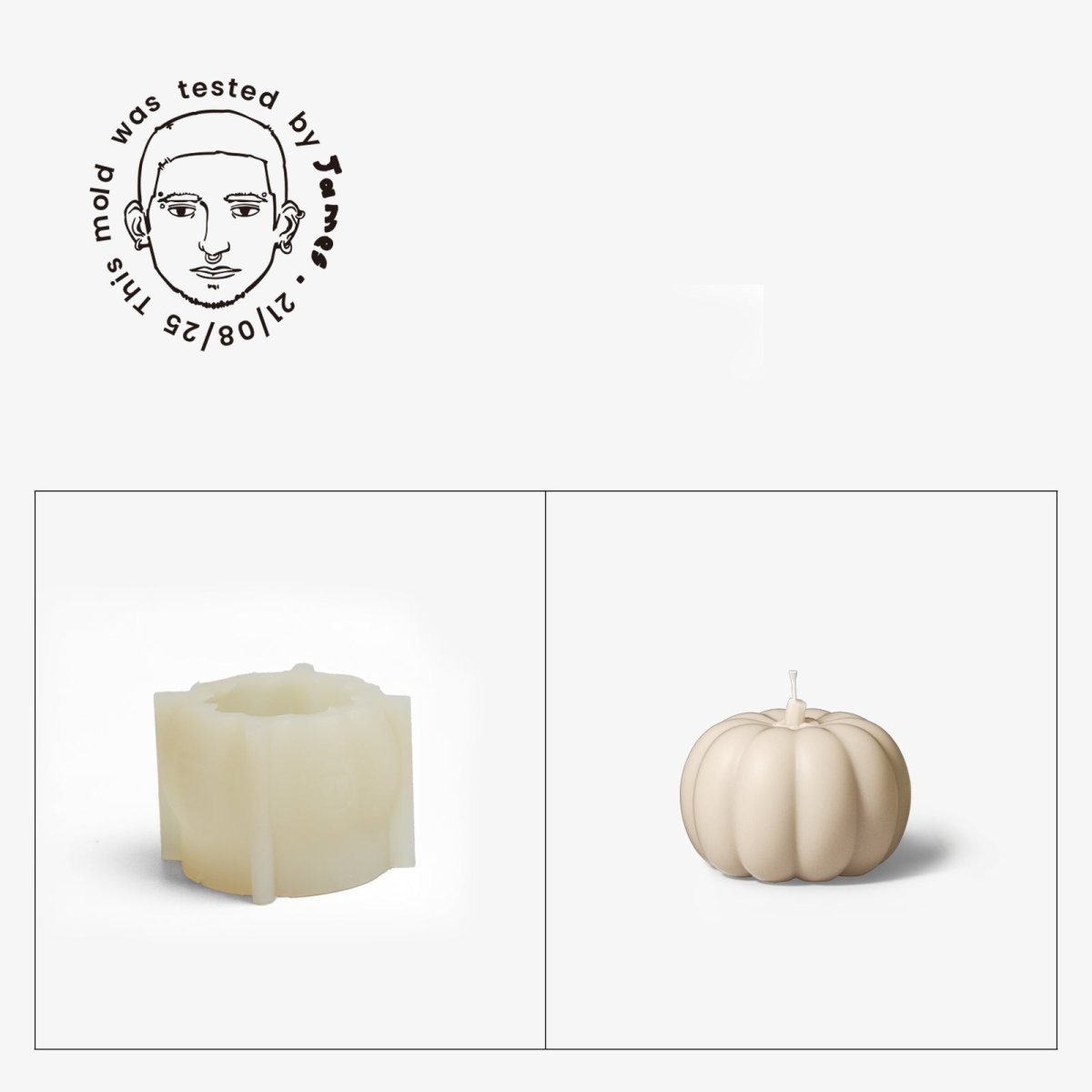 Gently Used Pumpkin Shaped Silicone Mold CollectionGently Used MoldLZ0803-Used