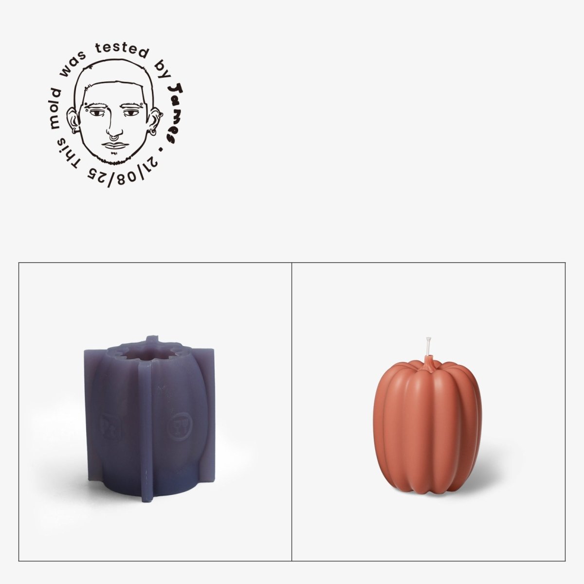 Gently Used Pumpkin Shaped Silicone Mold CollectionGently Used MoldLZ0804-Used