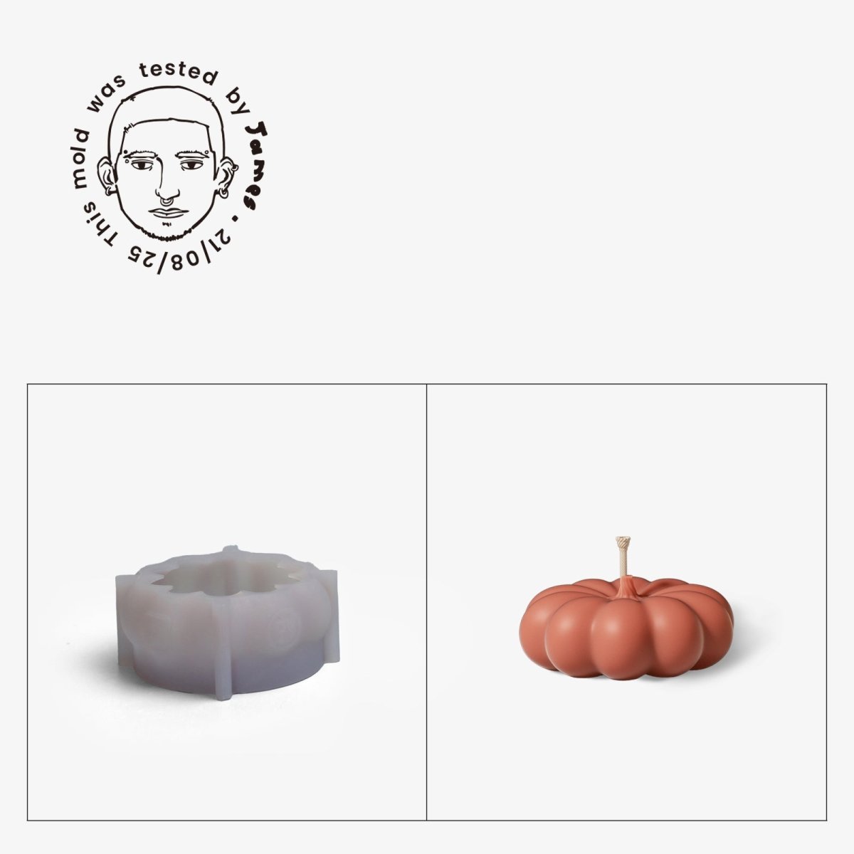 Gently Used Pumpkin Shaped Silicone Mold CollectionGently Used MoldLZ0807-Used