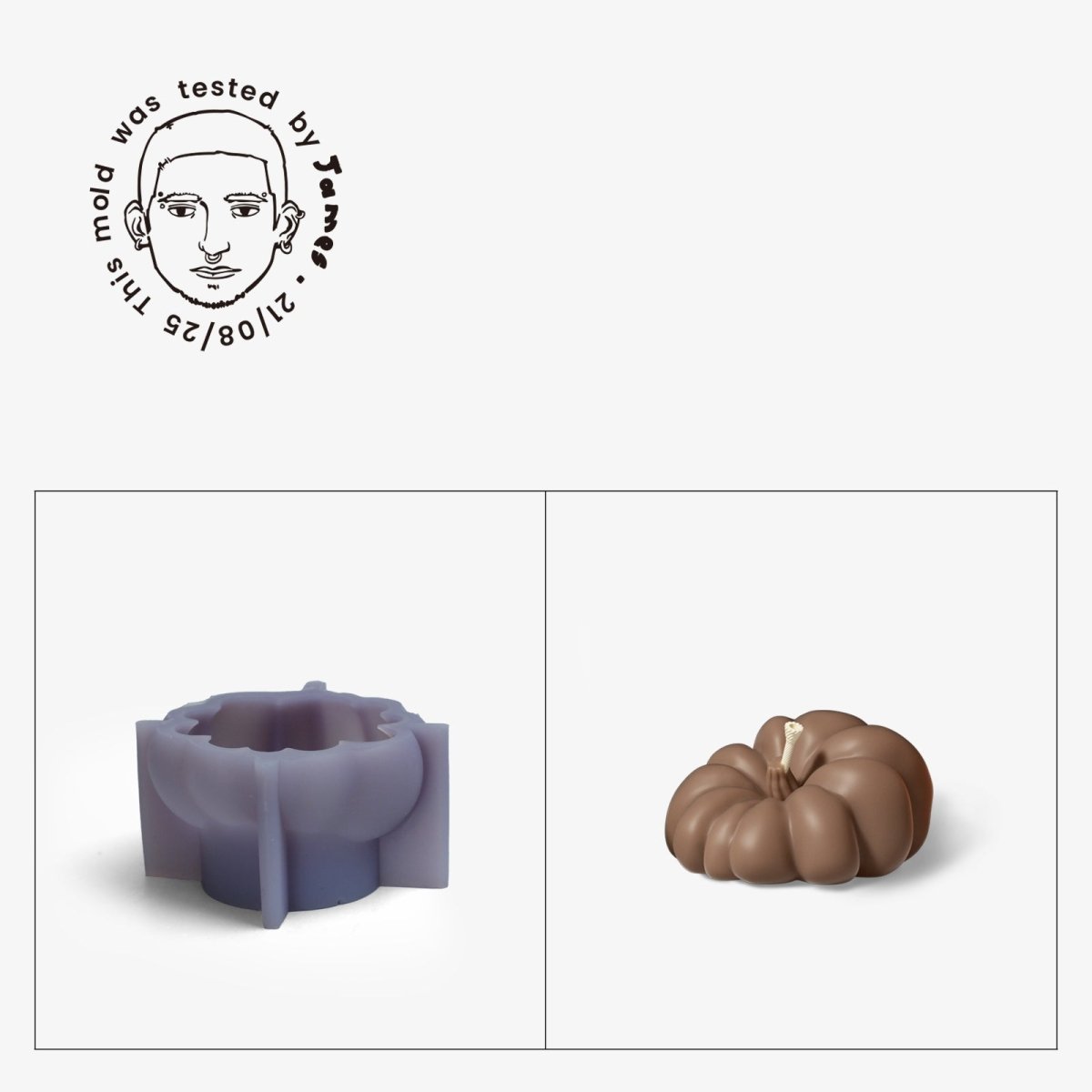 Gently Used Pumpkin Shaped Silicone Mold CollectionGently Used MoldLZ0830-Used