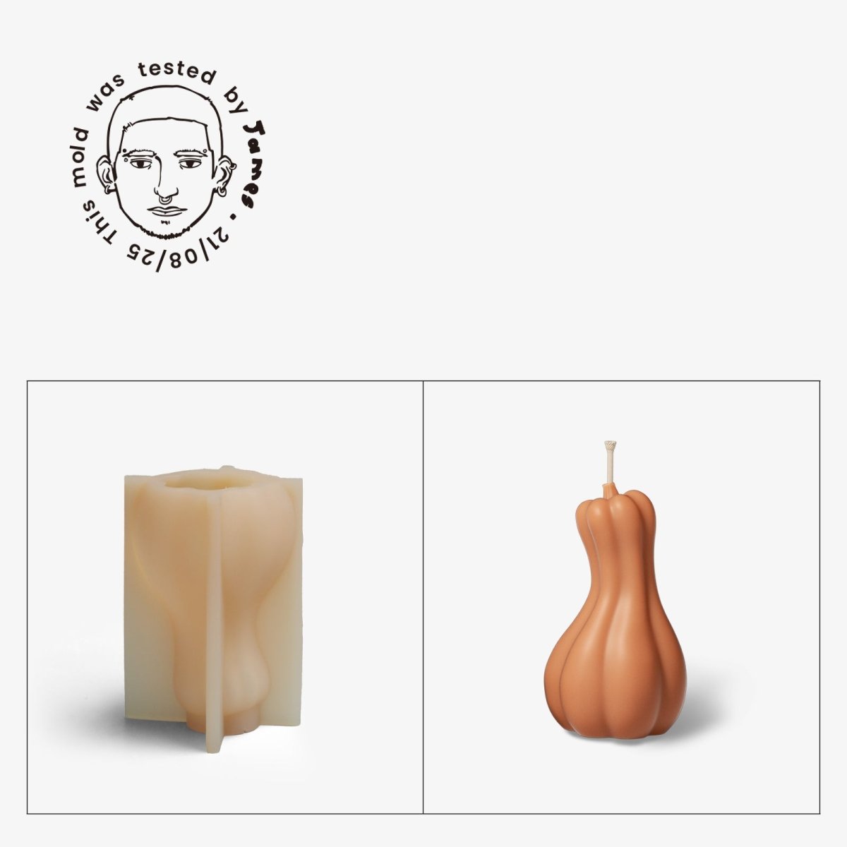 Gently Used Pumpkin Shaped Silicone Mold CollectionGently Used MoldLZ0831-Used