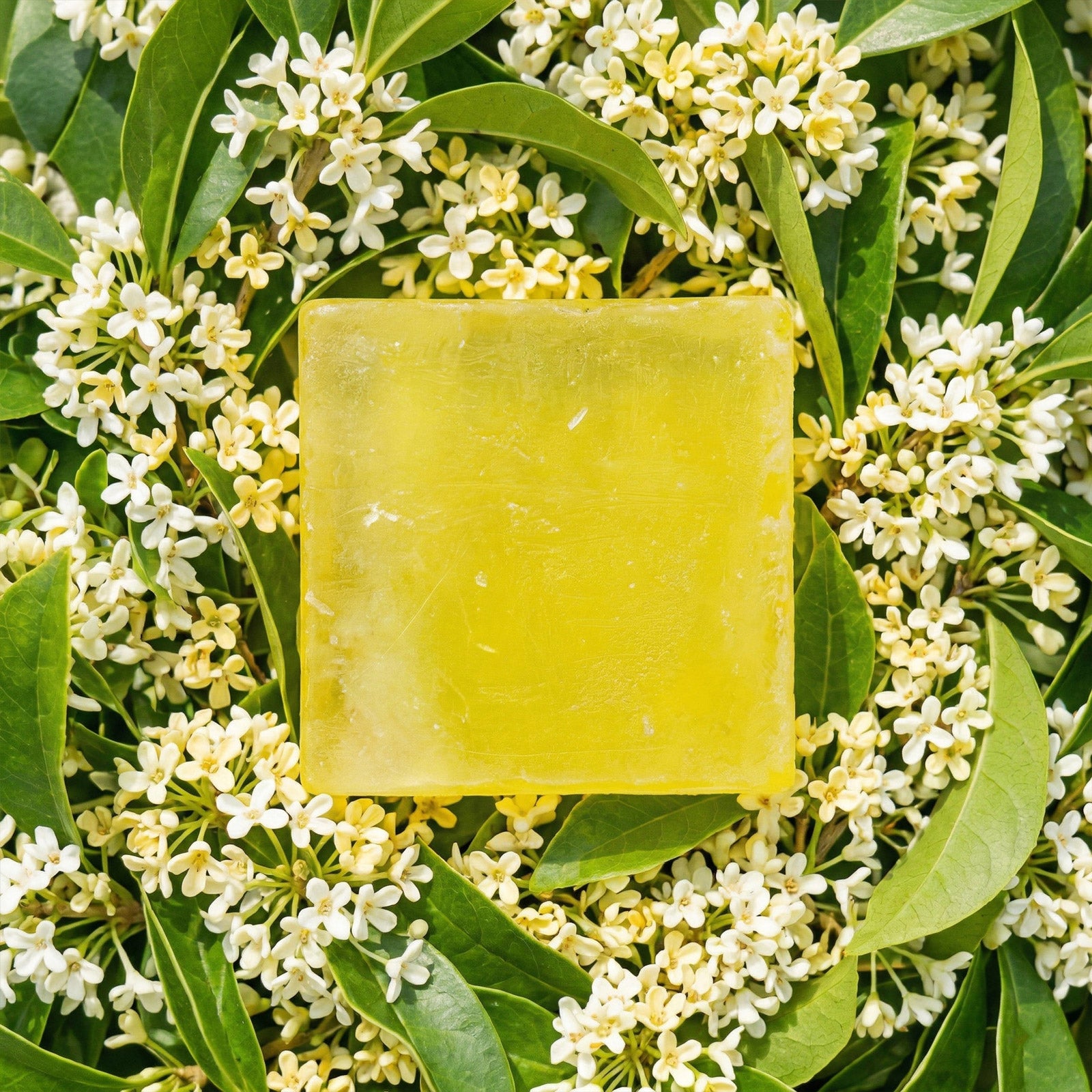 Yellow Osmanthus Peptide Soap Bar on Osmanthus Flowers - Boowan Nicole