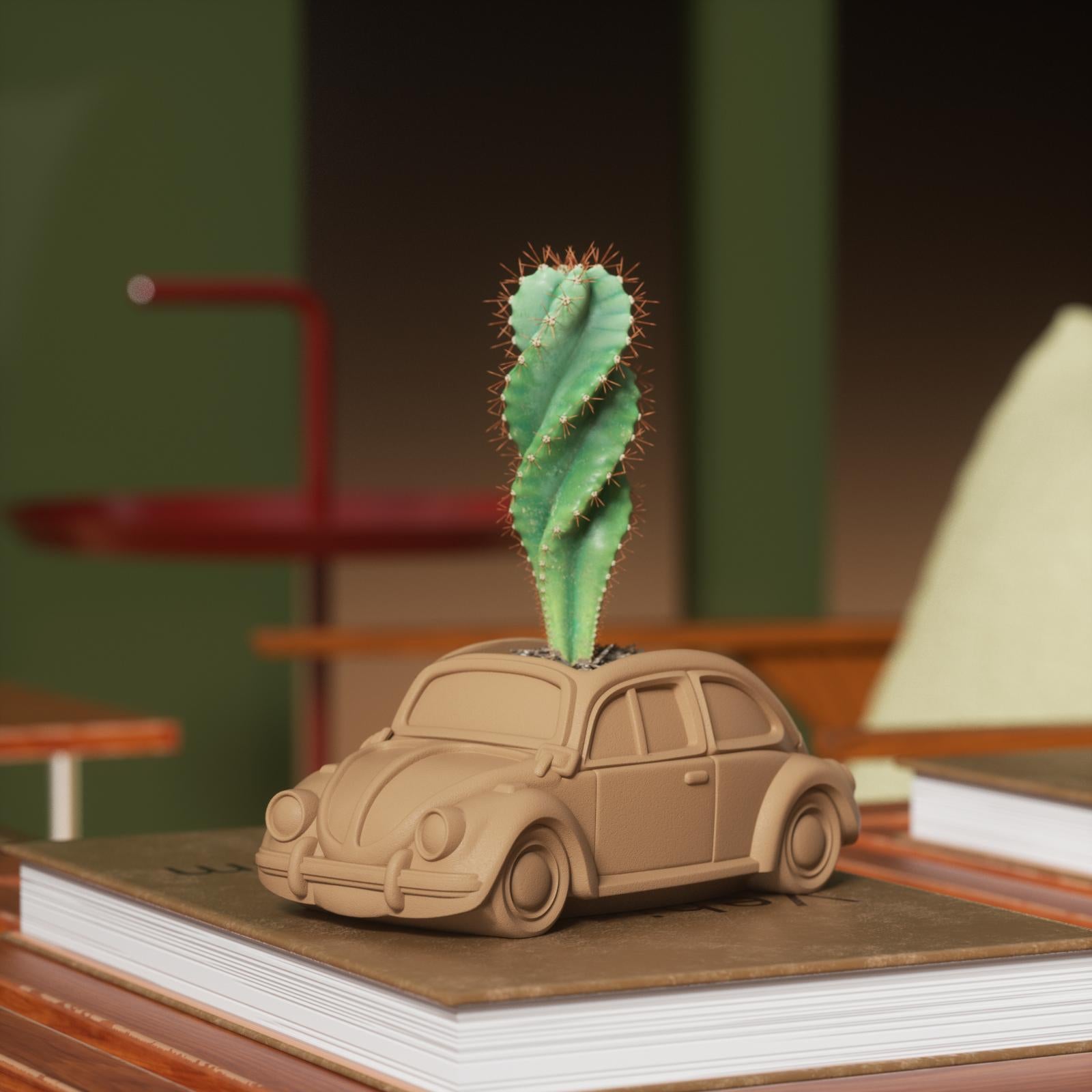 A plant pot with a book and a cactus adds a warm touch to the home.