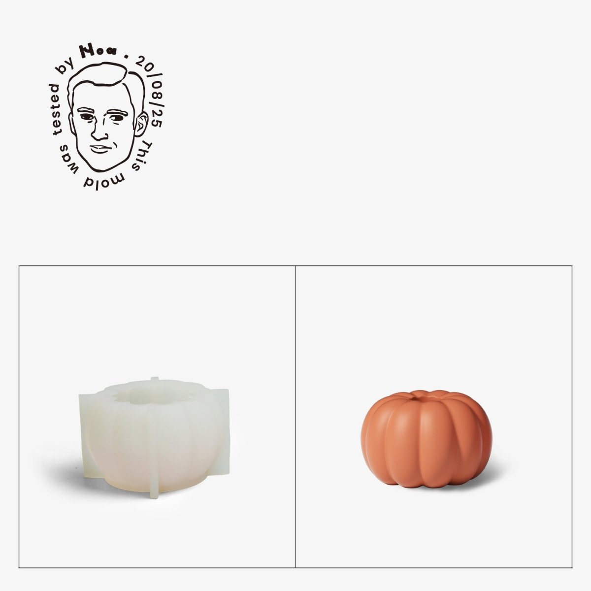 Gently Used Pumpkin Shaped Silicone Mold CollectionGently Used MoldSH1186-Used