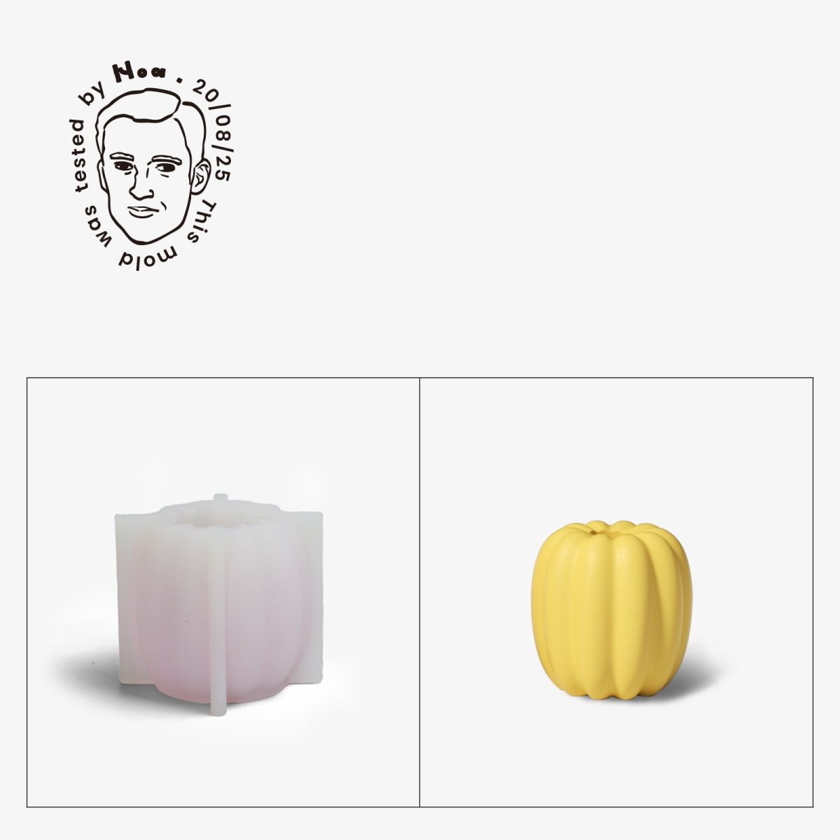 Gently Used Pumpkin Shaped Silicone Mold CollectionGently Used MoldSH1188-Used