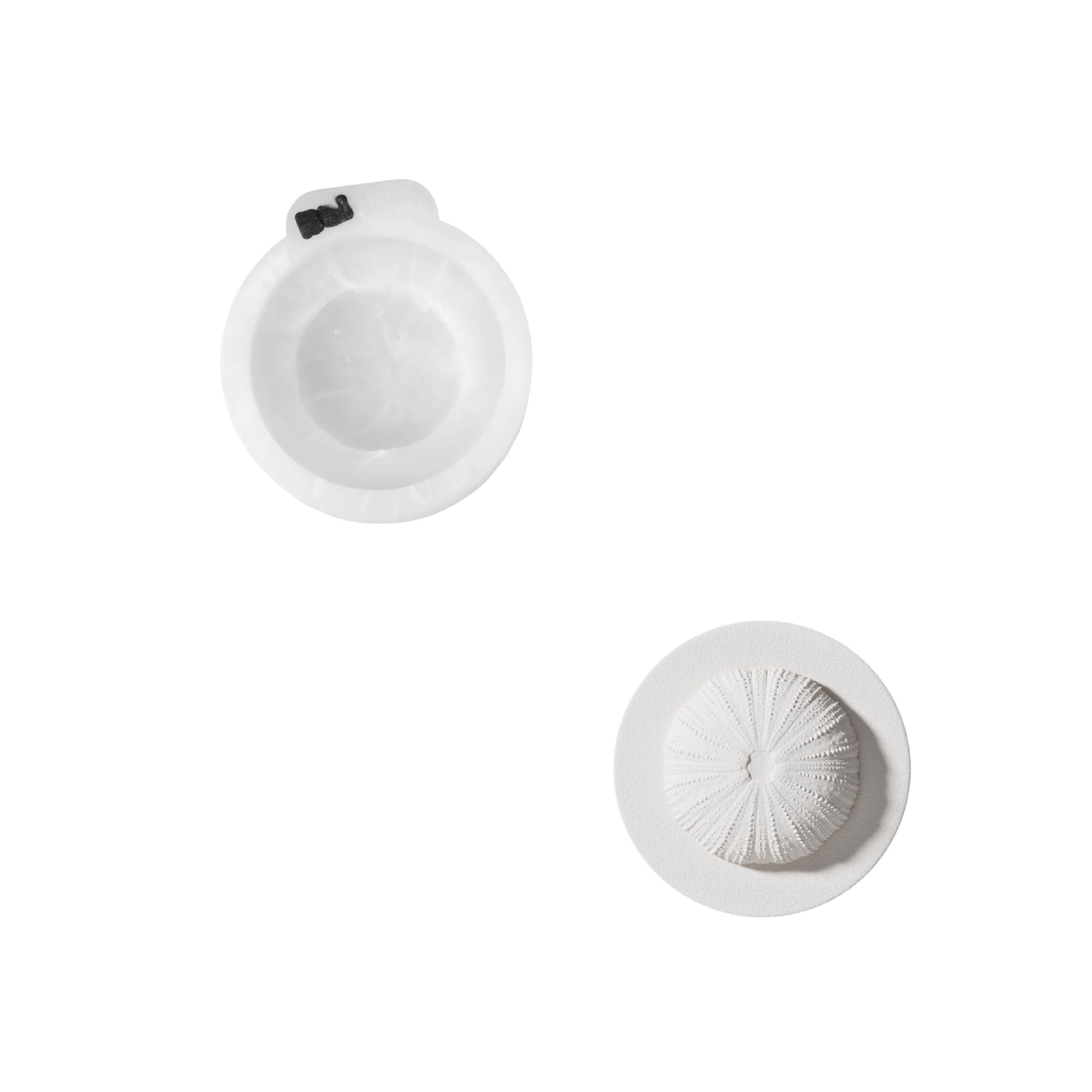 Azulmostaza × Boowan Nicole ｜La Isla Bonita Isla Bonita Scent Set Silicone Mold