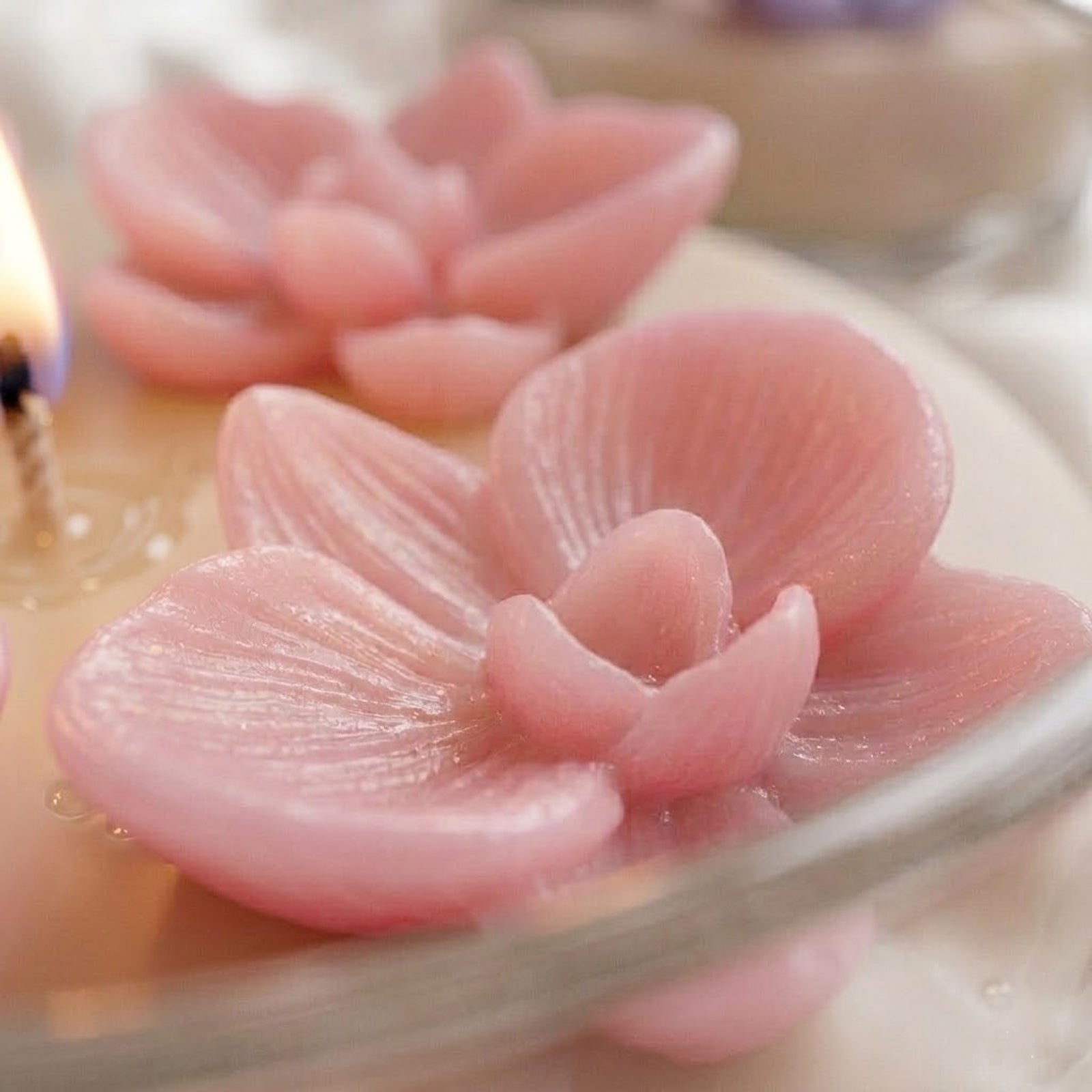 Close-up of pink orchid wax toppers, revealing fine vein details and a glossy finish. -Boowan Nicole