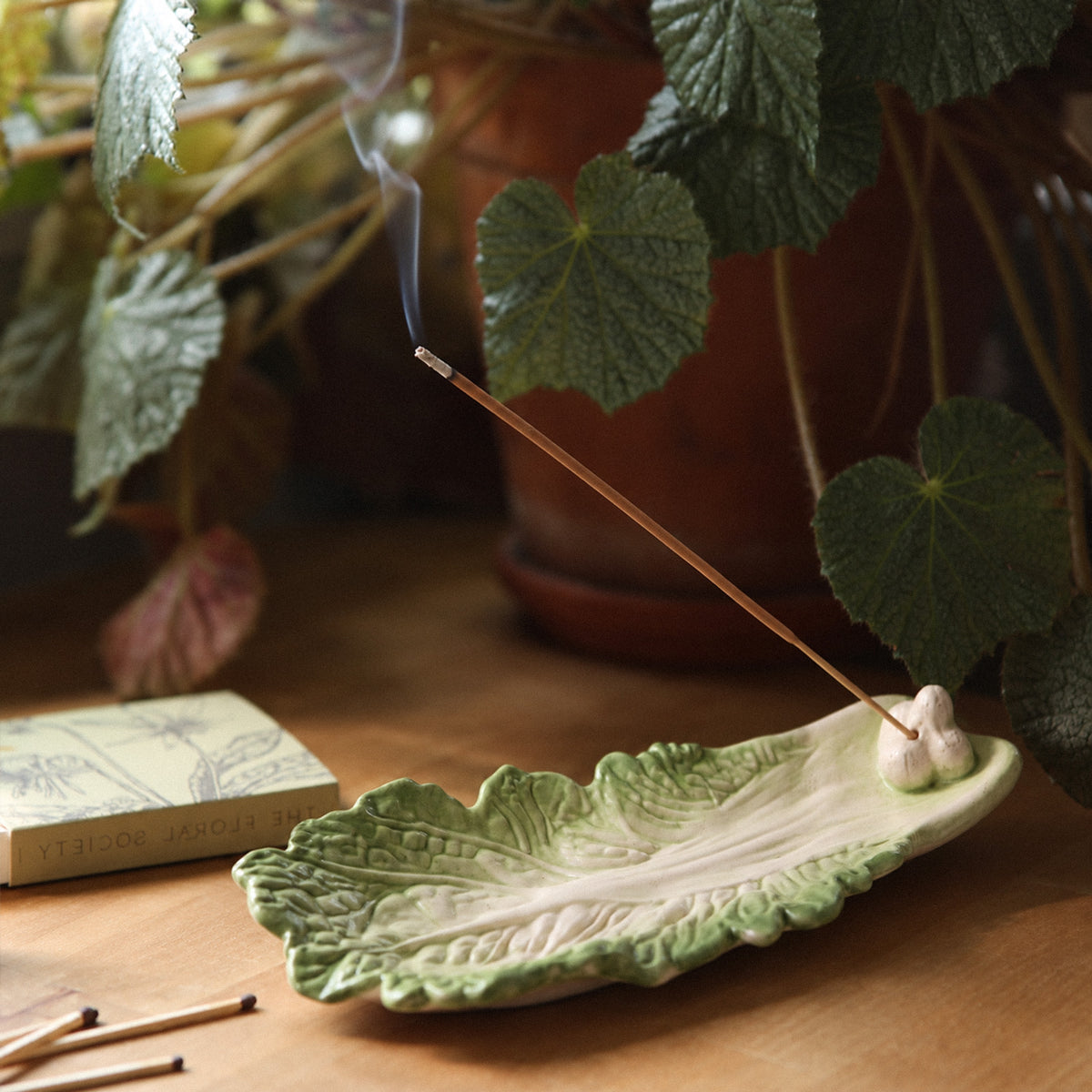 Leaf-shaped incense holder displayed among plants and craft materials