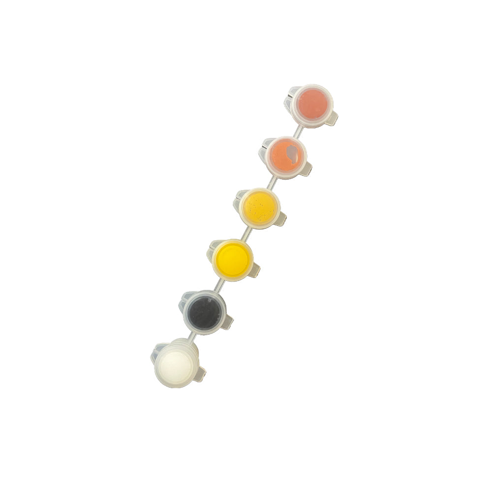 Pigment multiset strip 6-colours 2 g natural
