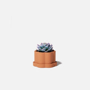 Mini Floral Column Plant Pot Silicone MoldConcrete MoldsSH1085-1-2