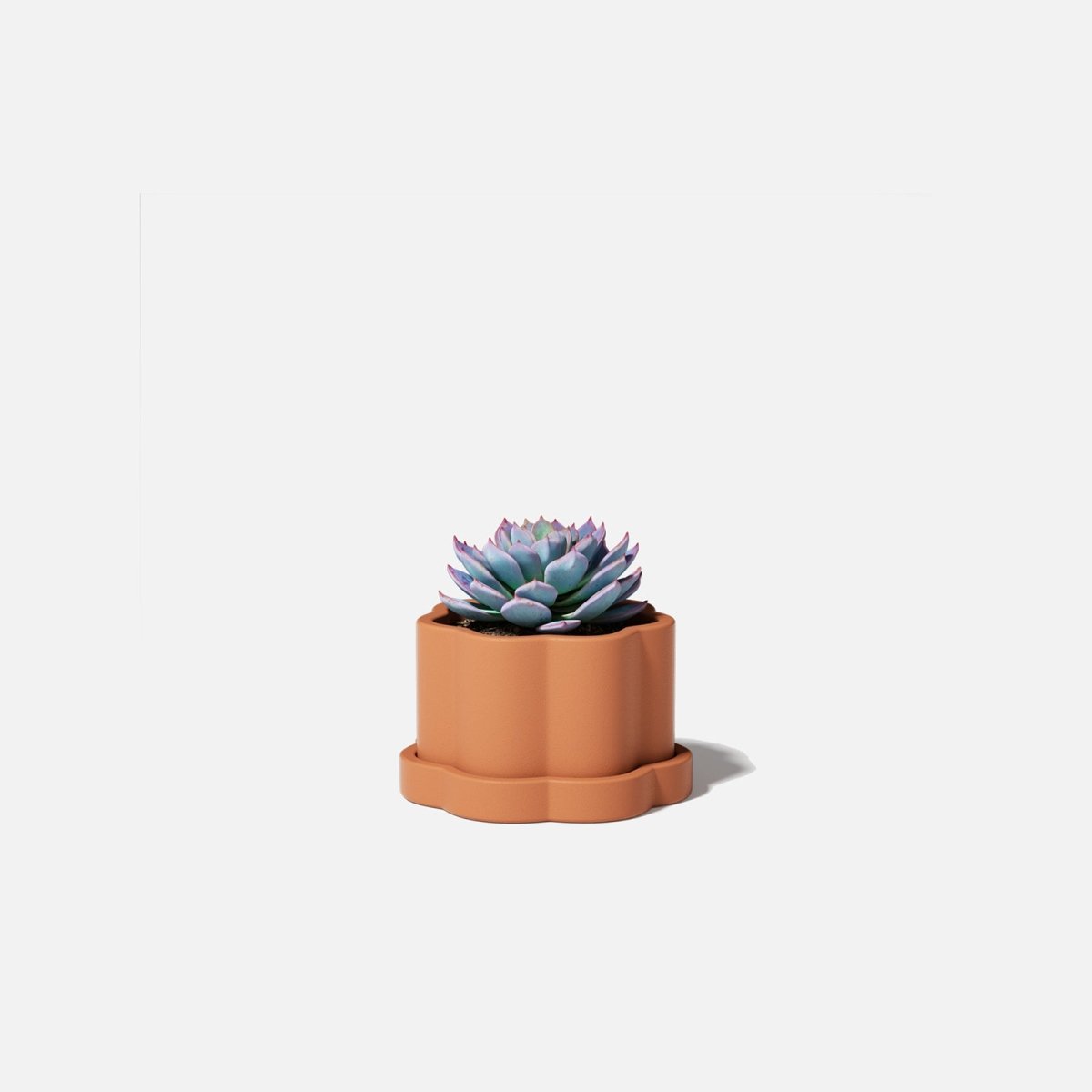 Mini Floral Column Plant Pot Silicone MoldConcrete MoldsSH1085-1-2