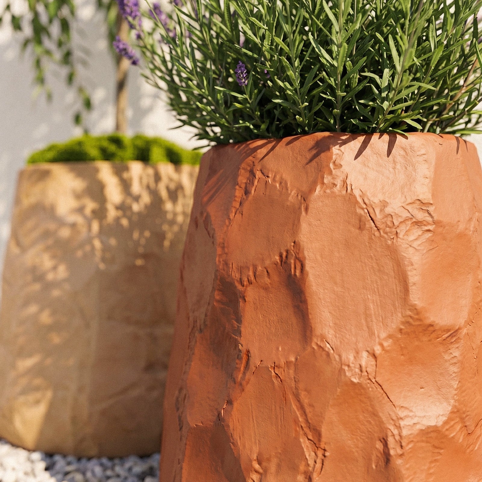 Terracotta Chiseled Stone Planter with Lavender - Boowan Nicole