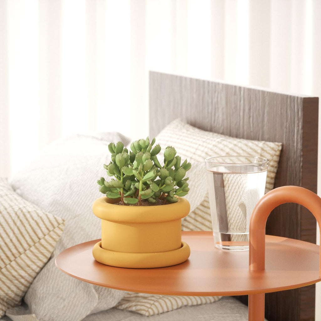 There is a yellow Short Botanic Column Plant Pot on the coffee table with a glass of water next to it - Boowan Nicole