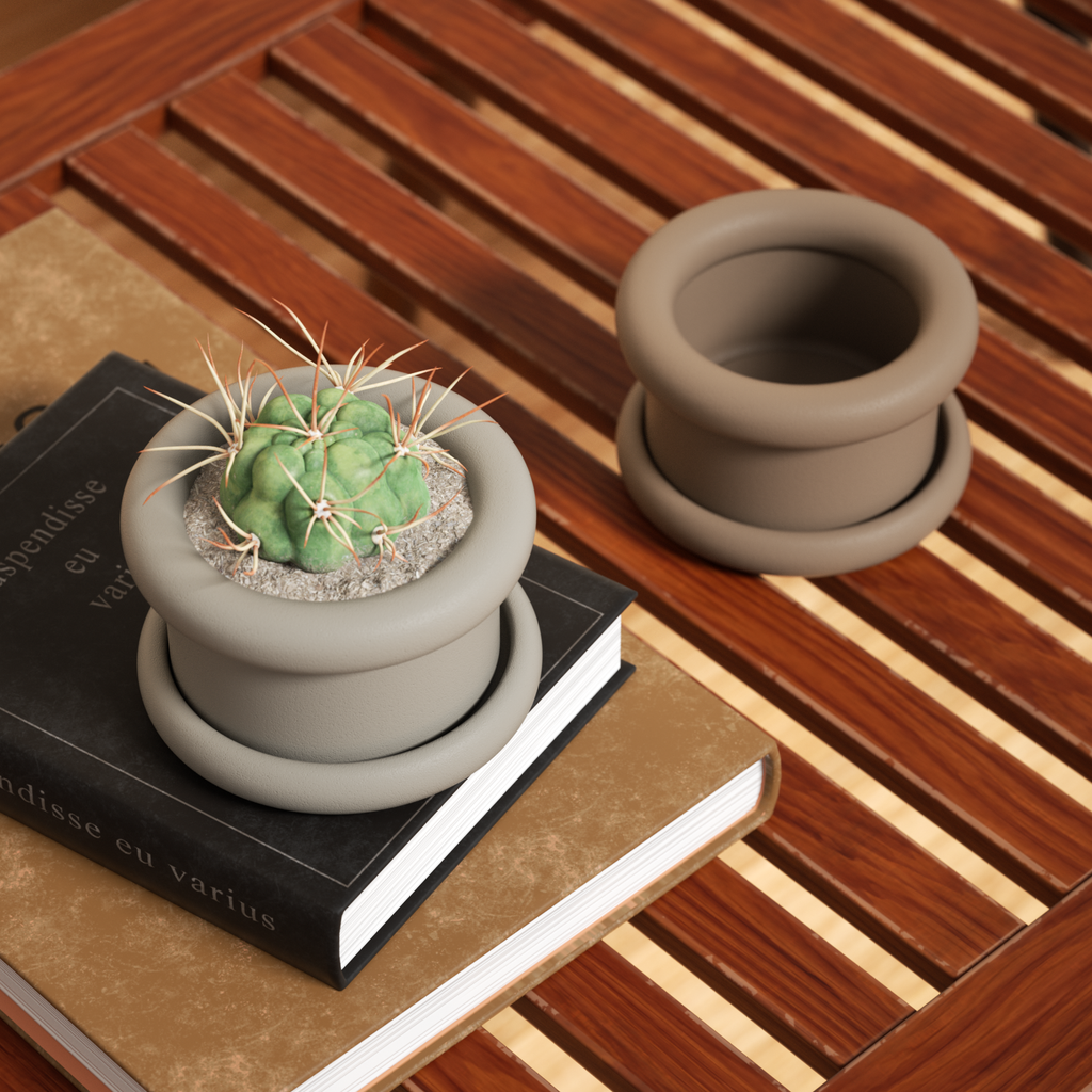 Prickly pear plant growing in gray Short Botanic Column Plant Pot on a book - Boowan Nicole