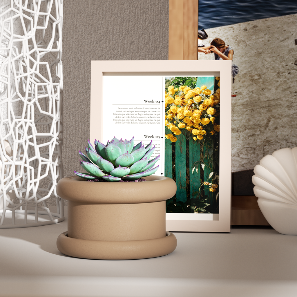 The Short Botanic Column Plant Pot planted with succulents is placed on the table as a decoration, with a photo frame behind it - Boowan Nicole